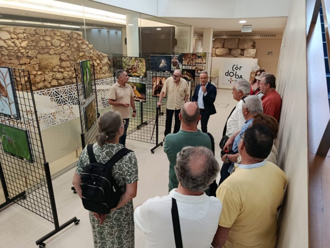 Córdoba reúne 40 fotografías de la biodiversidad de Sierra Morena en una muestra abierta hasta el 30 de septiembre