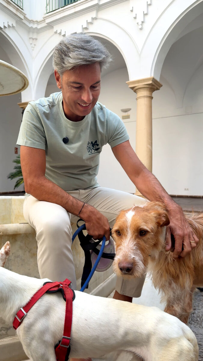 La Diputación de Córdoba da en adopción a más del 60% de los 127 perros recogidos en 61 municipios
