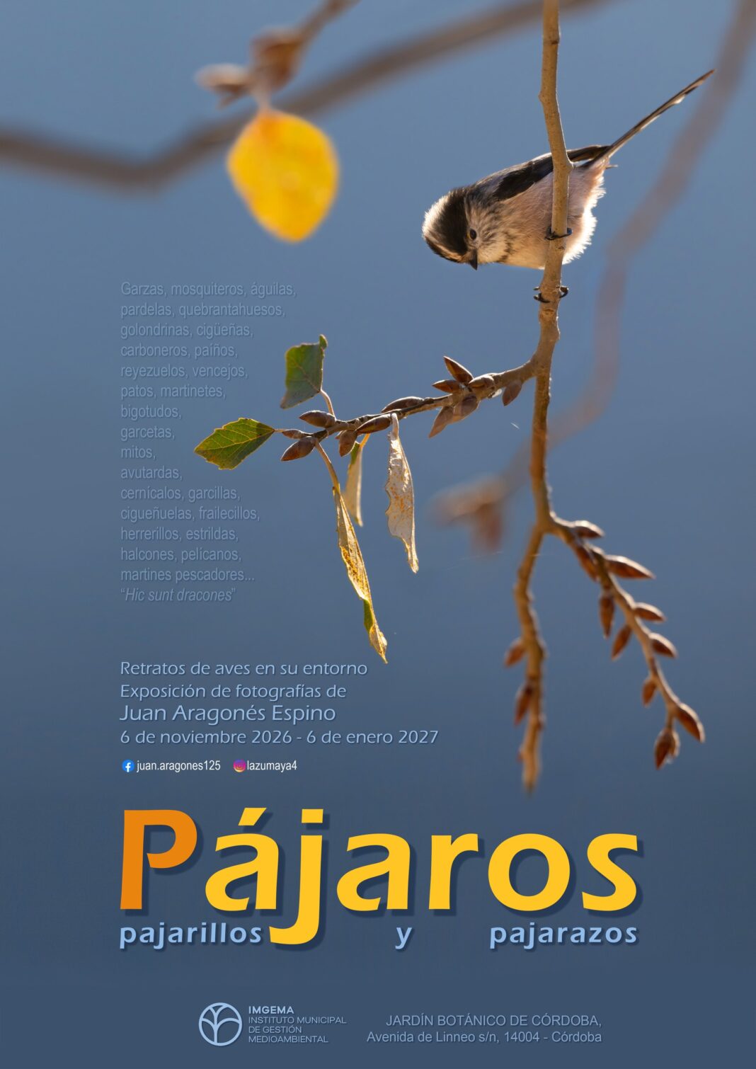 Córdoba acoge en el Real Jardín Botánico la exposición «Pájaros, pajarillos y pajarazos»